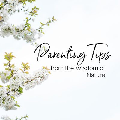 Parenting Tips from the Wisdom of Nature